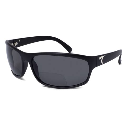 best polarized sunglasses with readers.